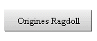 Ragdoll Origines