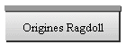 Ragdoll Origines