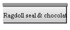 Nos Ragdolls seal