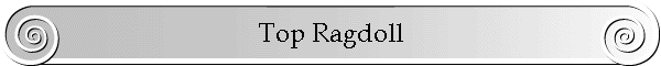 Top Ragdoll