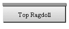 Top Ragdoll